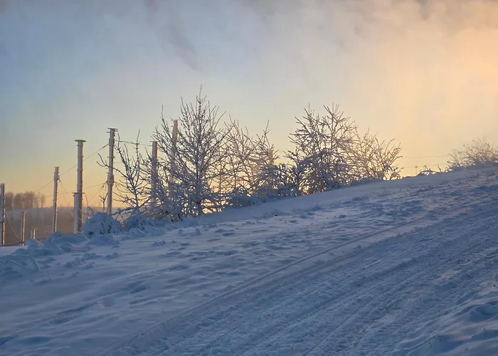 Bergzauber Sauna, Bikerpark Winterberg